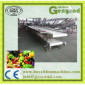 Fruit Vegetable Processing Making Machine for Sale